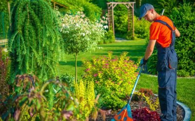 شركة تنظيف حدائق في مصر